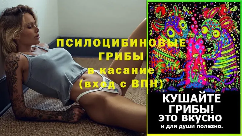 MEGA сайт  Крымск  Галлюциногенные грибы Magic Shrooms 